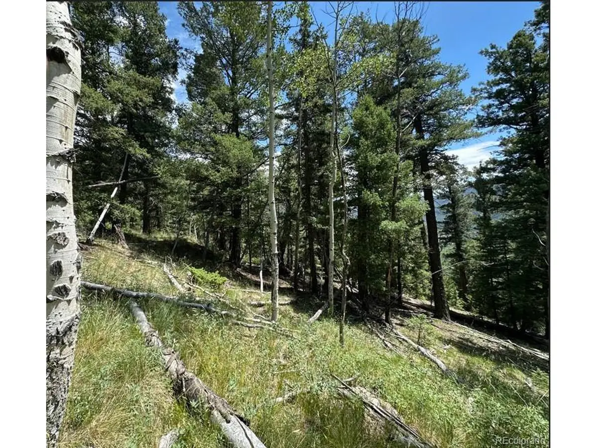 TBD Calkins, Jasper, CO 81146