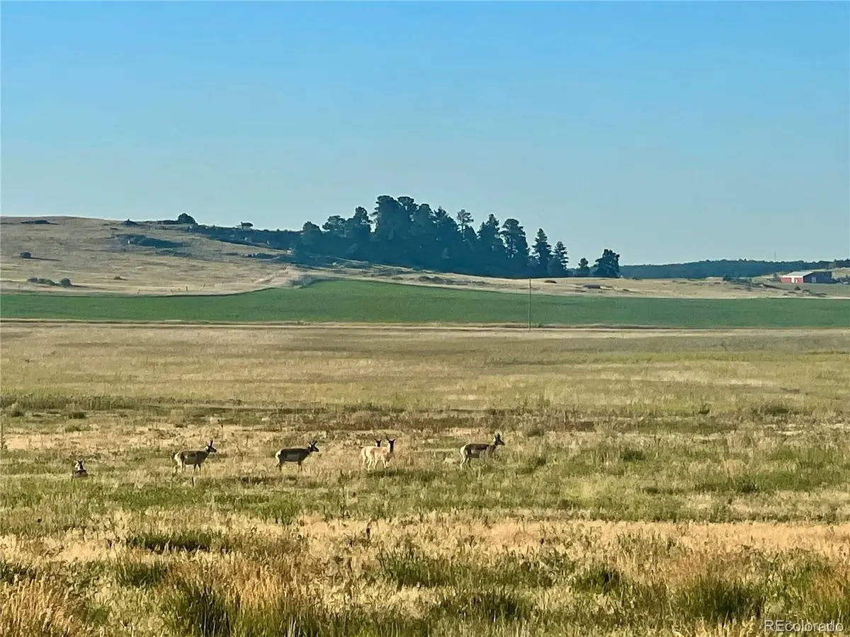 Craven Lot 1, Elbert, CO 80106