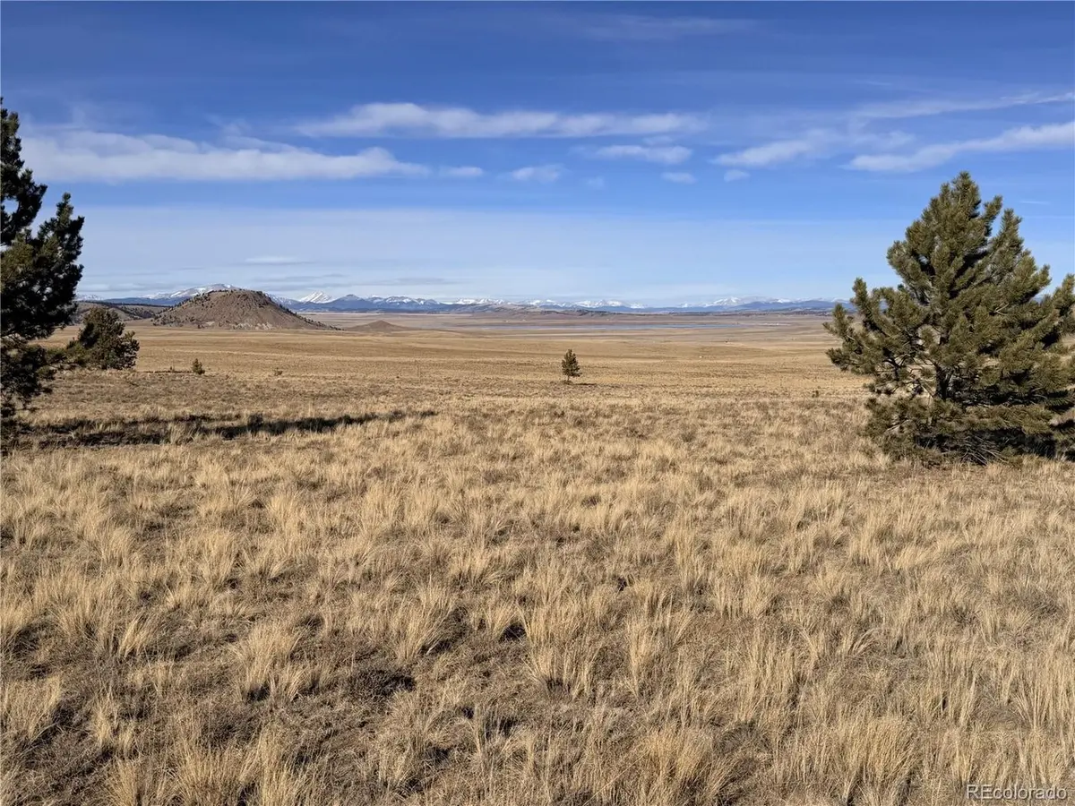 311 Harness, Hartsel, CO 80449
