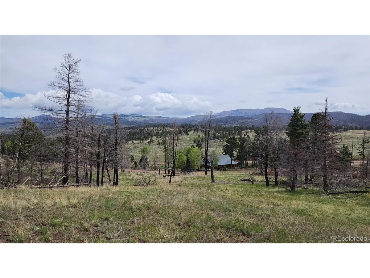449 Duckworth, Fort Garland, CO 81133