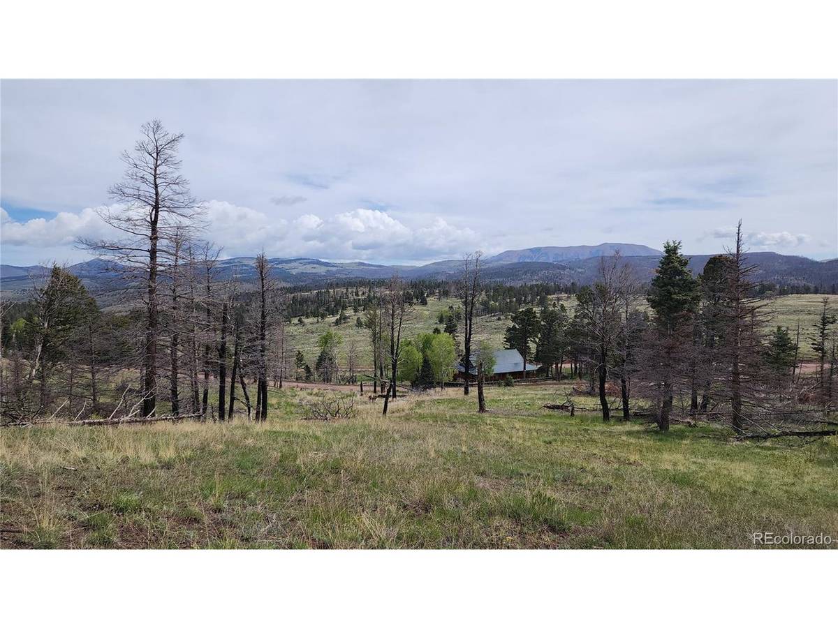 449 Duckworth, Fort Garland, CO 81133