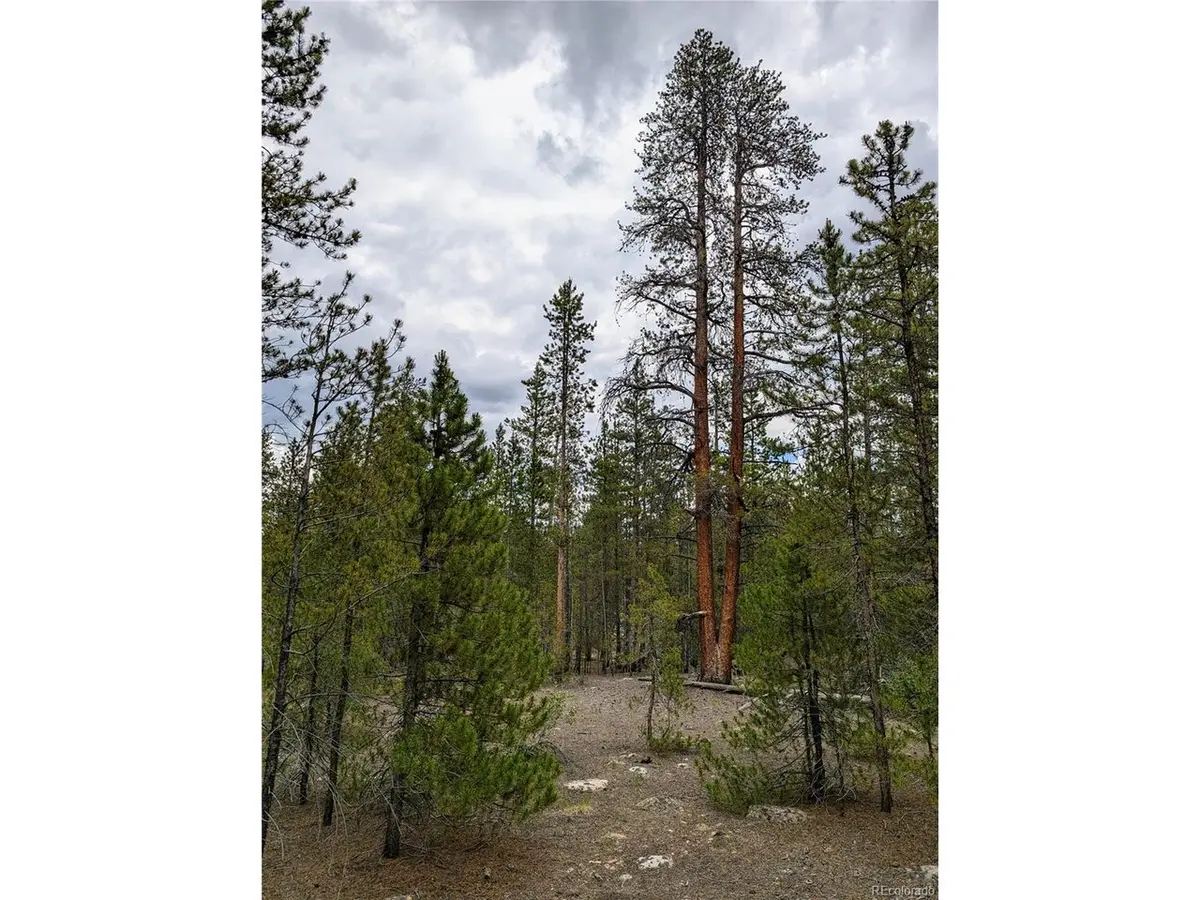 437 Juniper, Twin Lakes, CO 81251