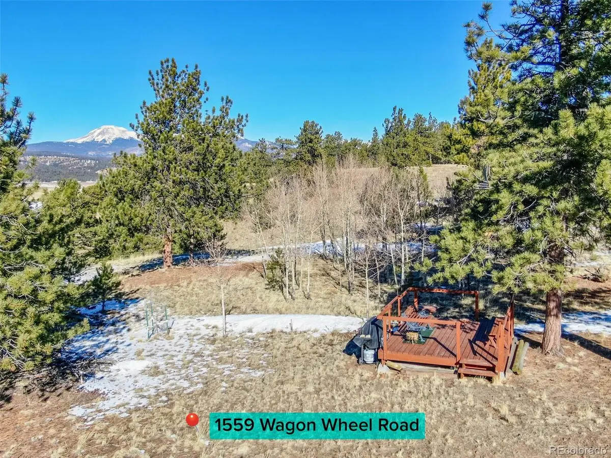 1559 Wagon Wheel, Hartsel, CO 80449