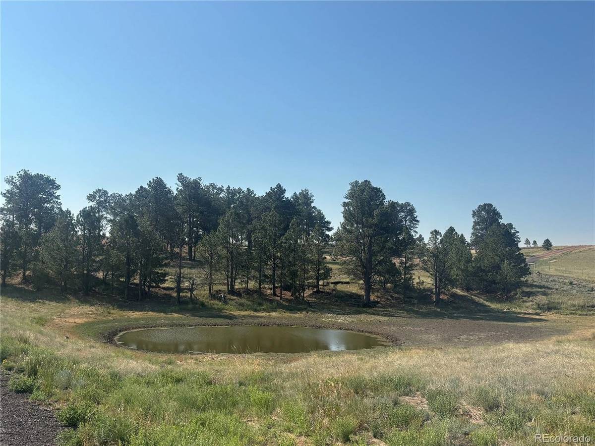 32147 Waylongood, Kiowa, CO 80117