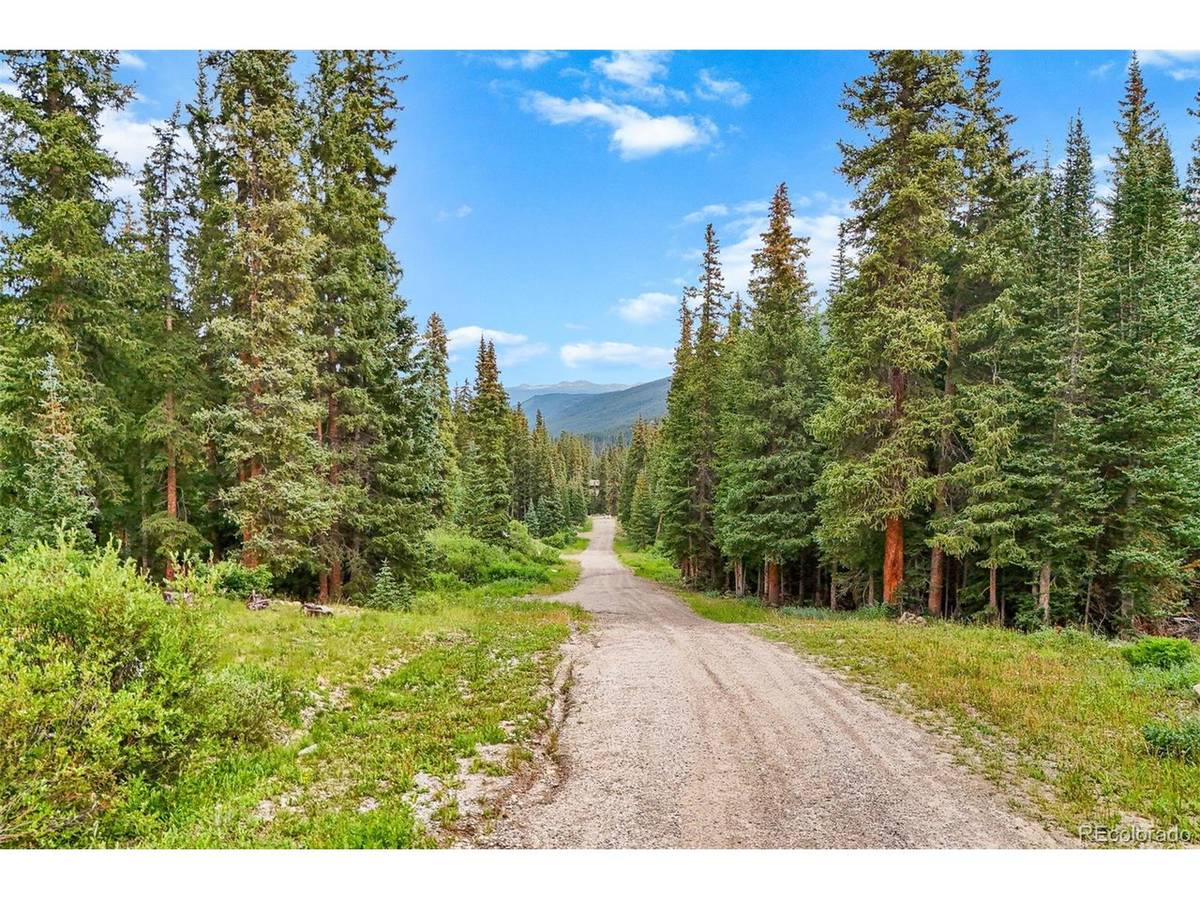 57 County Road 675, Breckenridge, CO 80424
