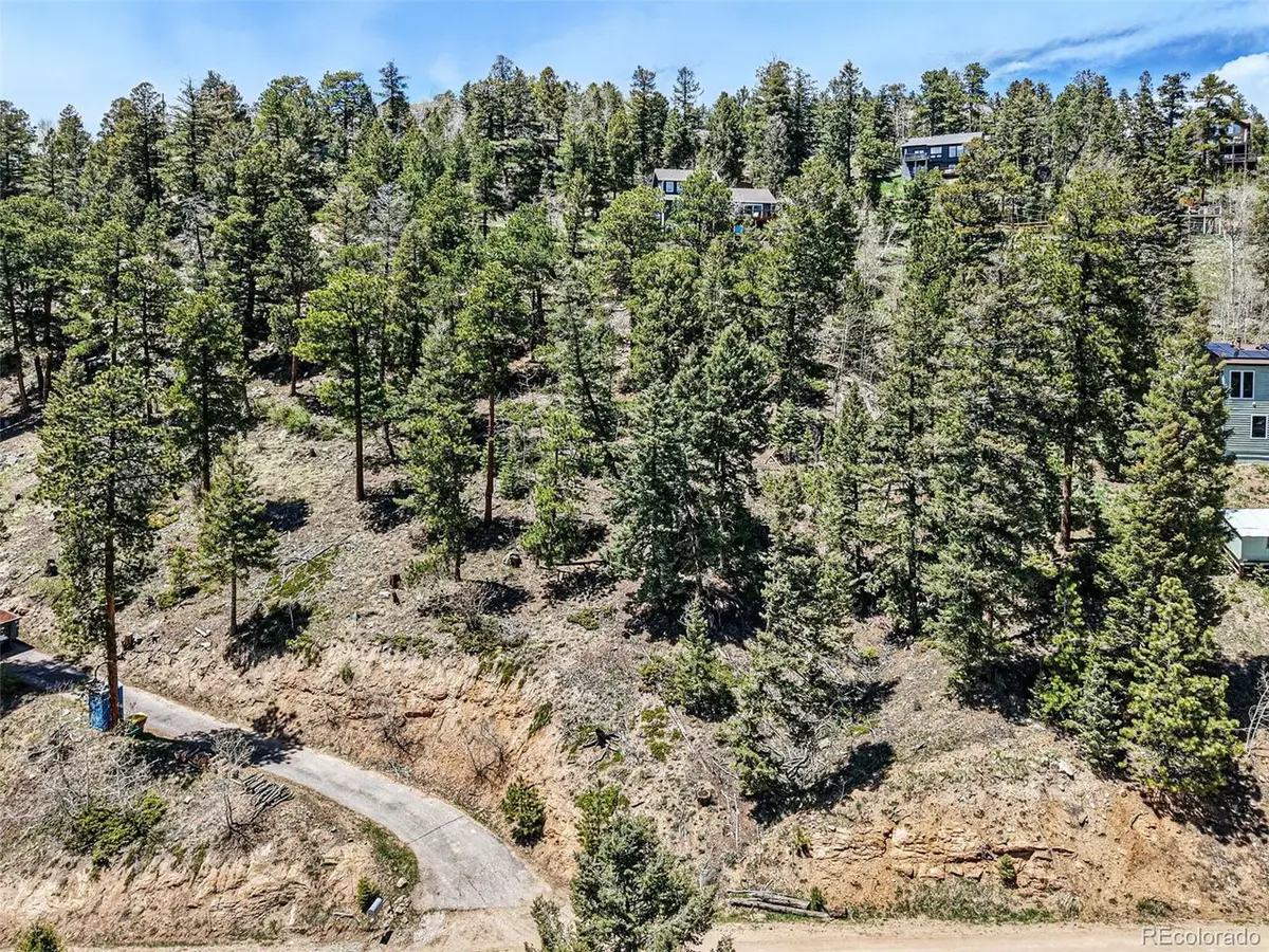 11618 Nichols, Conifer, CO 80433