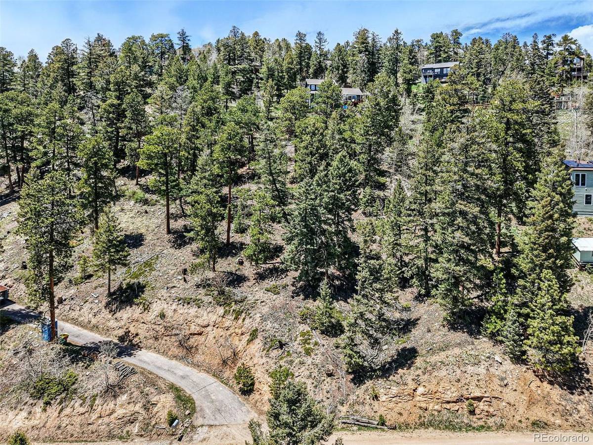 11618 Nichols, Conifer, CO 80433