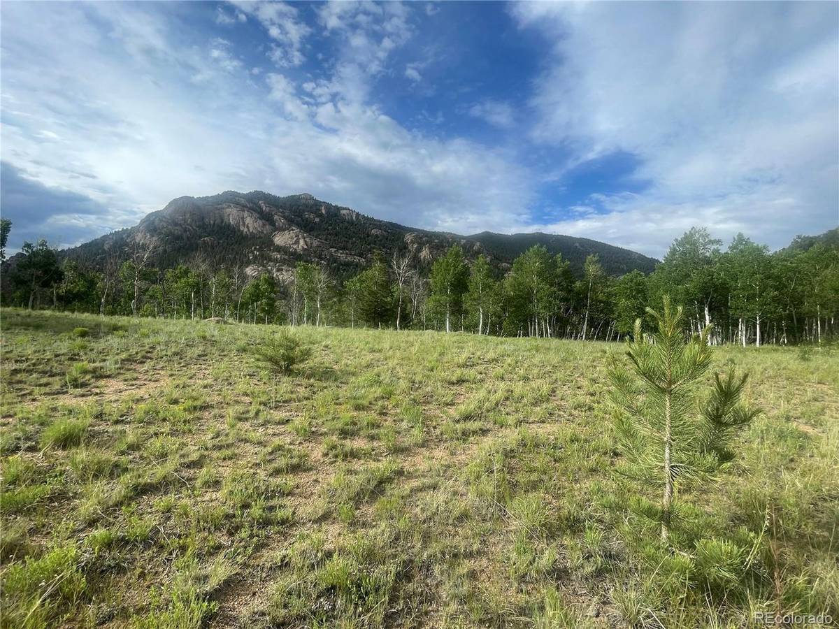 171 Emerald, Lake George, CO 80827