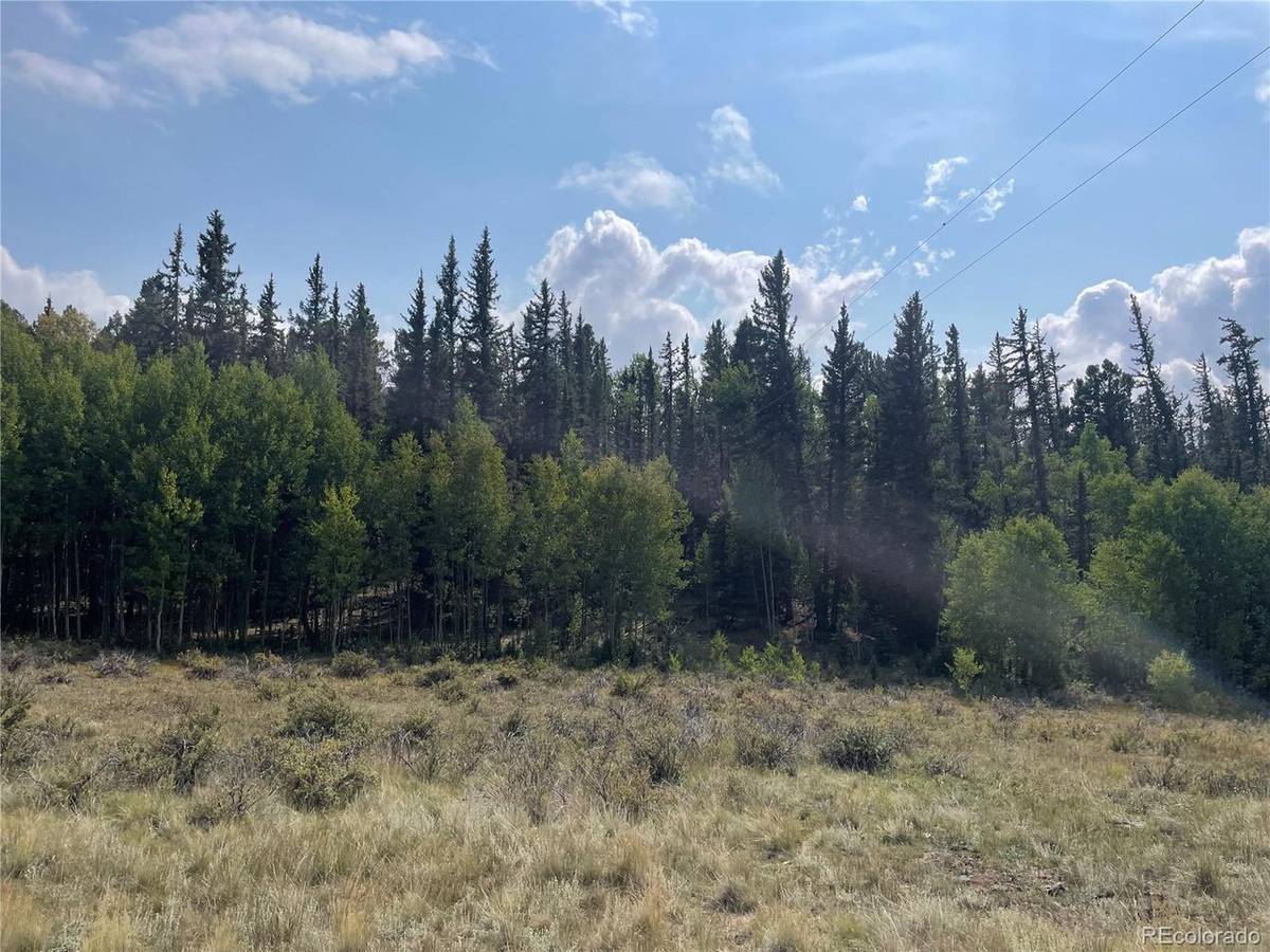 491 W Longbow, Como, CO 80432