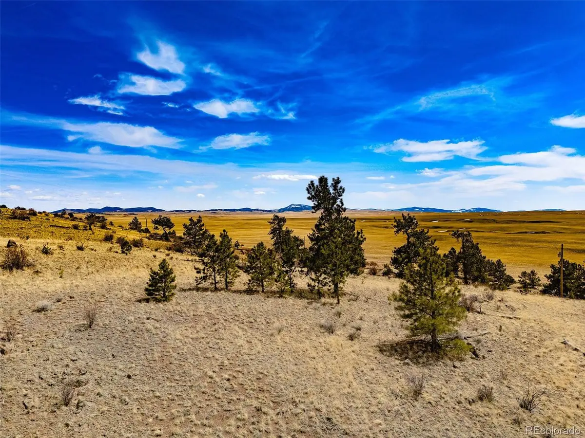 102 Pack Saddle, Hartsel, CO 80449