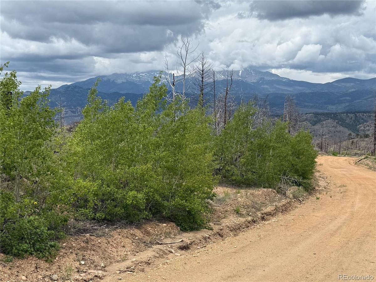 383 Soubry, Fort Garland, CO 81133