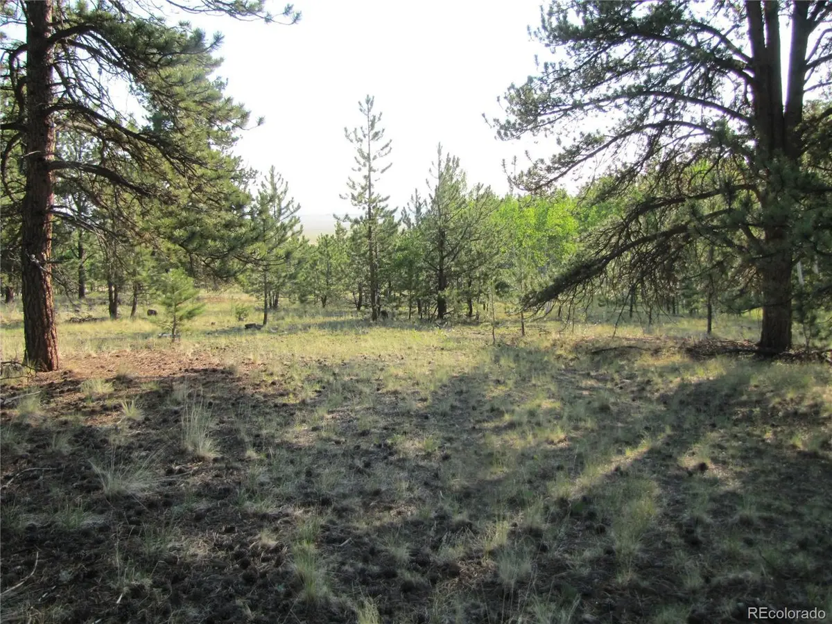 9736 Ranch, Hartsel, CO 80449