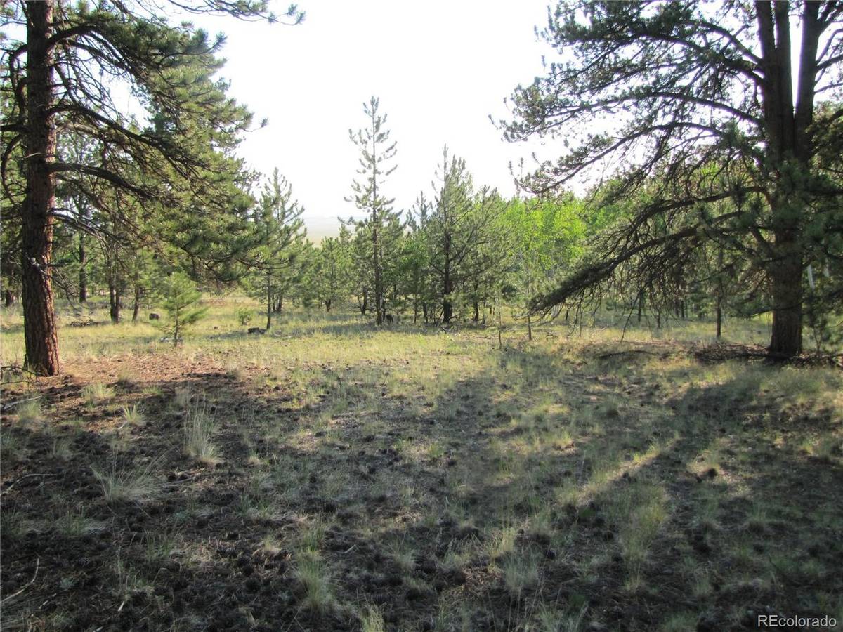 9736 Ranch, Hartsel, CO 80449