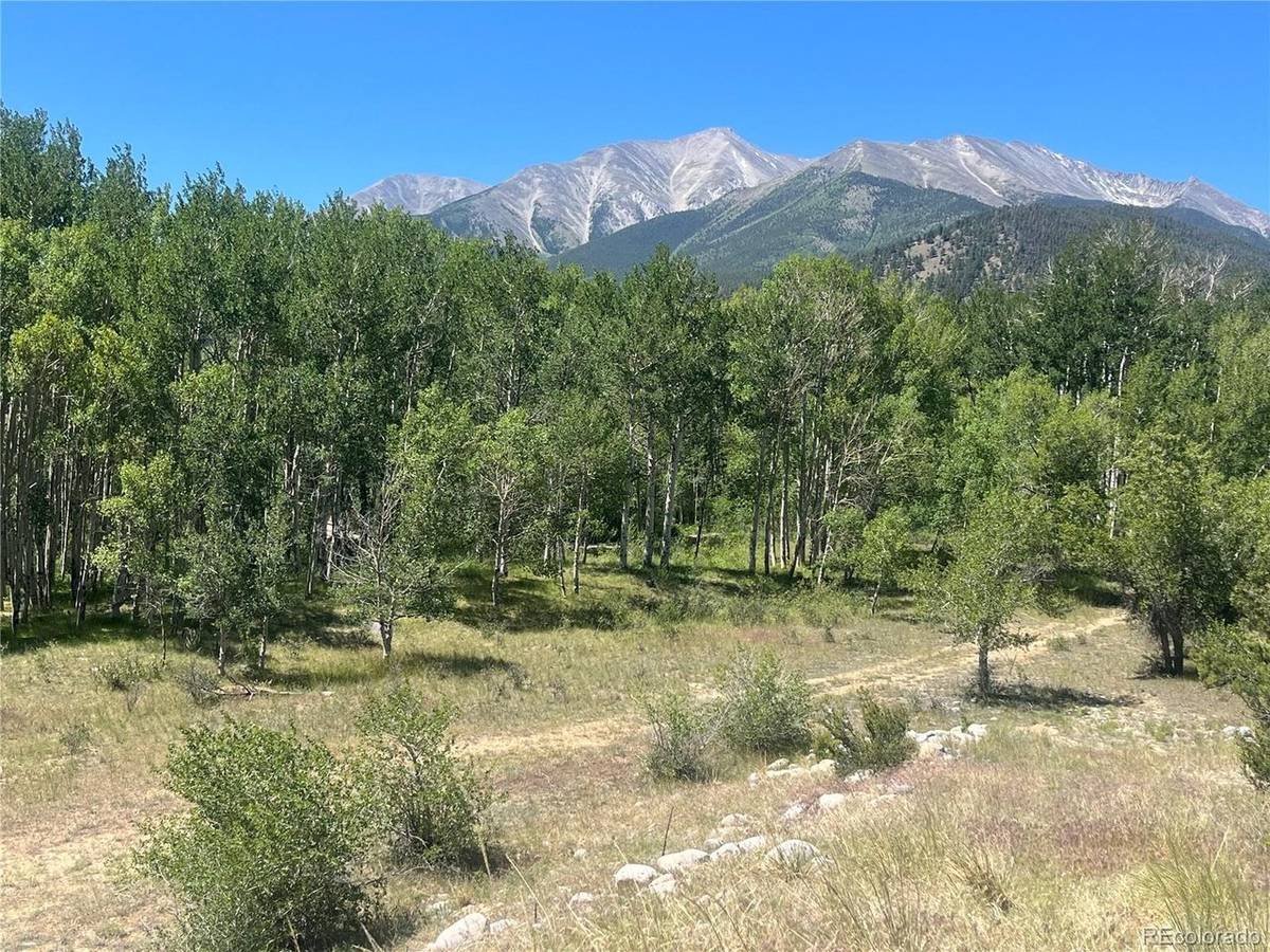 17573 Trout, Buena Vista, CO 81211