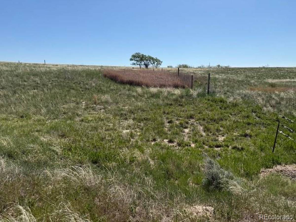 36 Arlyn, Wray, CO 80758
