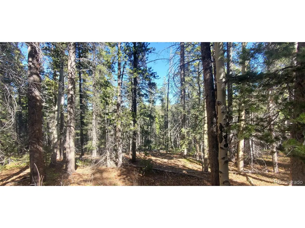 3023 Bolwell, Fort Garland, CO 81133