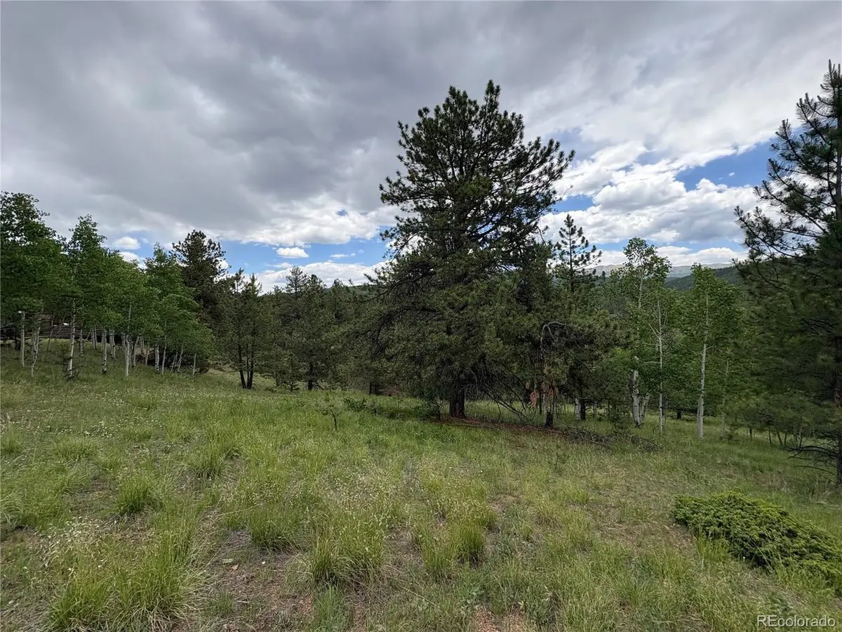 532 May Queen, Cripple Creek, CO 80813