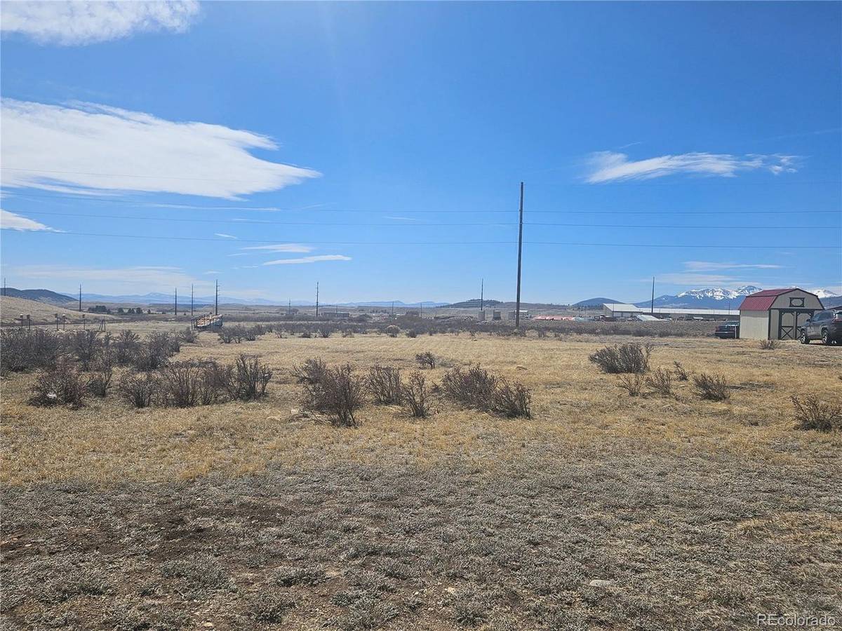 1313 Meadow, Fairplay, CO 80440