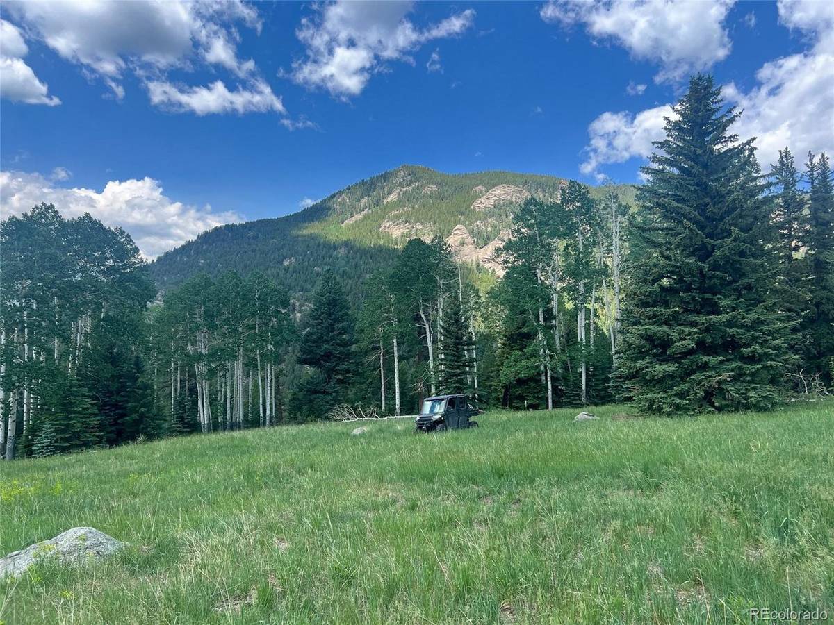 Address not disclosed, Evergreen, CO 80439