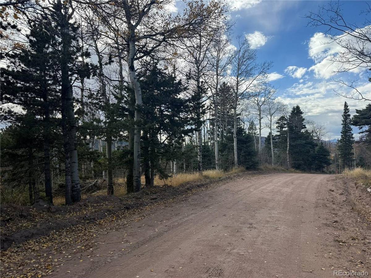 2663 Petito, Fort Garland, CO 81133