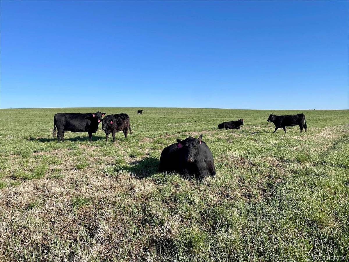 County Road 125, Deer Trail, CO 80105