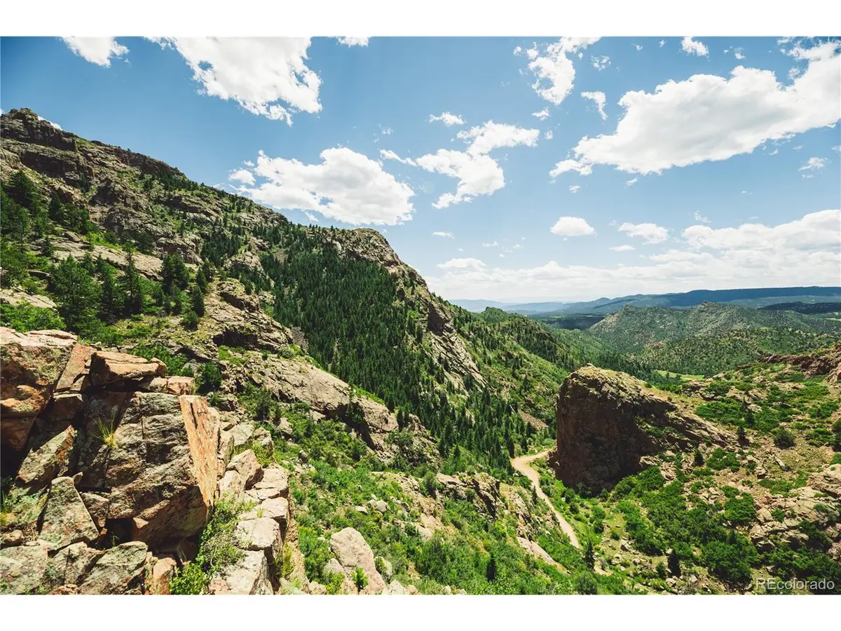Shelf, Florissant, CO 80816