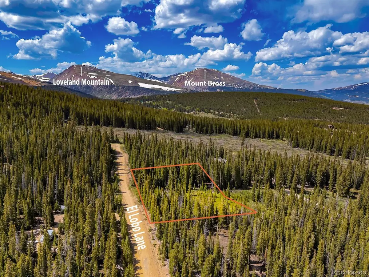 632 El Lobo, Fairplay, CO 80440