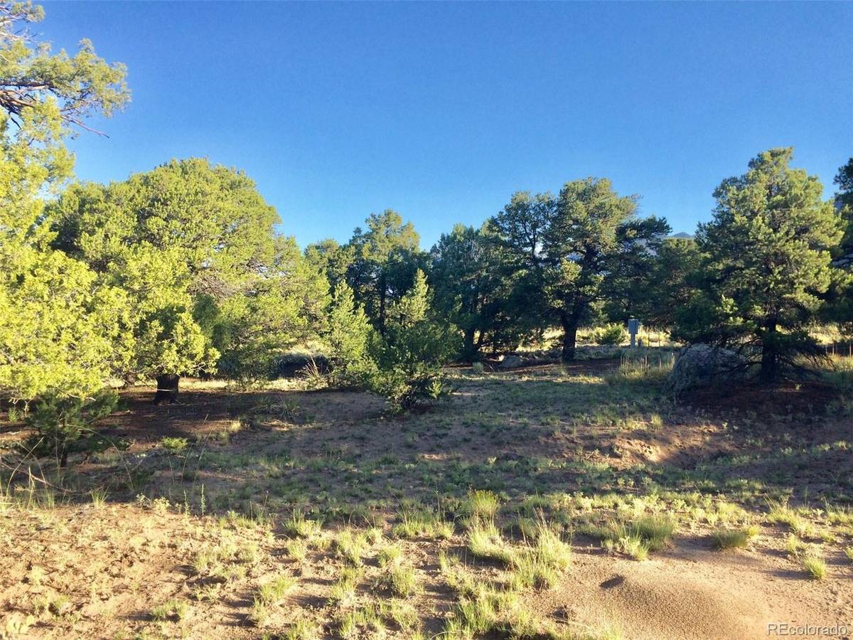 3514 Forest Trail Overlook, Crestone, CO 81131
