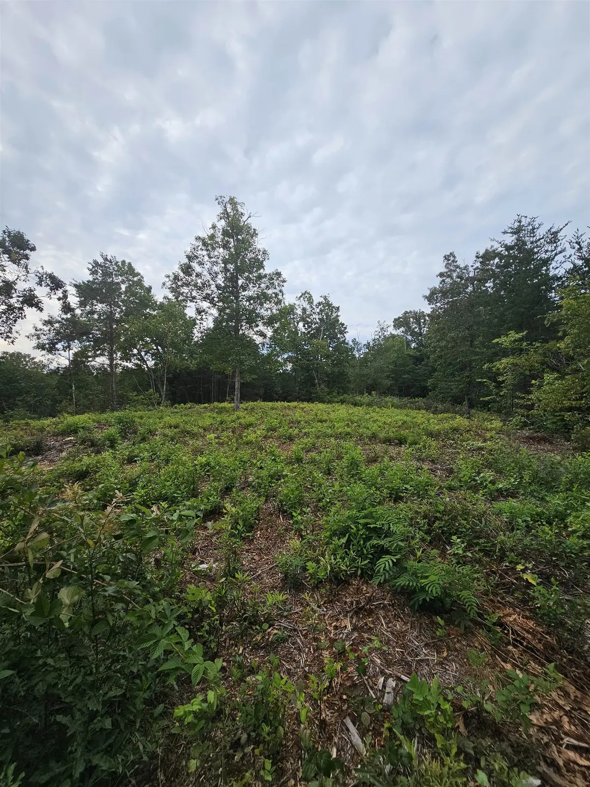 1138 Belue Mill RD, Landrum, SC 29356
