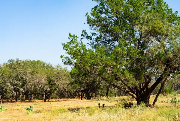0000 Old Ferry RD, Spicewood, TX 78669