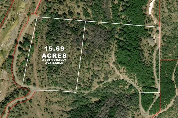 235 Chestnut XING, Burnet, TX 78611