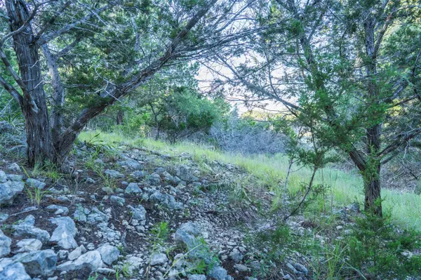 TBD Crabapple RD, Blanco, TX 78606