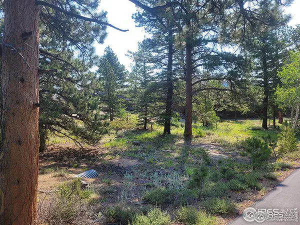 1 Fox Acres, Red Feather Lakes, CO 80545