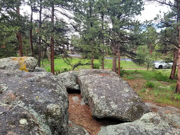 410 Fox Acres, Red Feather Lakes, CO 80545