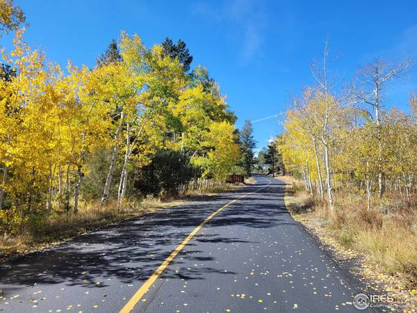 2945 Fox Acres, Red Feather Lakes, CO 80545