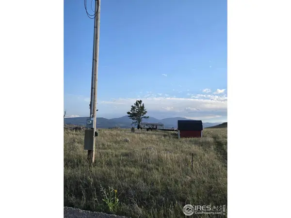 443 Meadow Mountain, Livermore, CO 80536