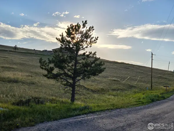 443 Meadow Mountain, Livermore, CO 80536