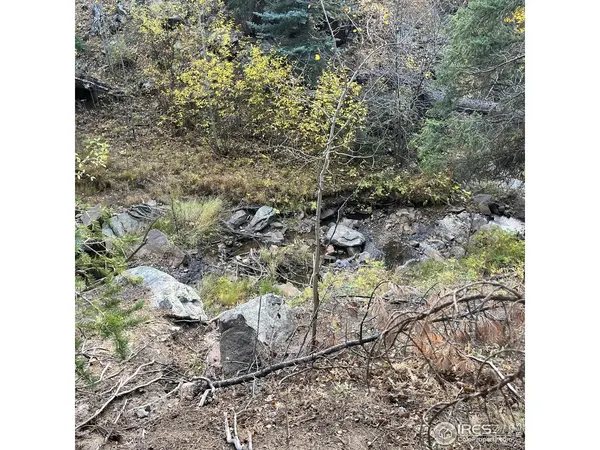 11 Monument Gulch, Bellvue, CO 80512