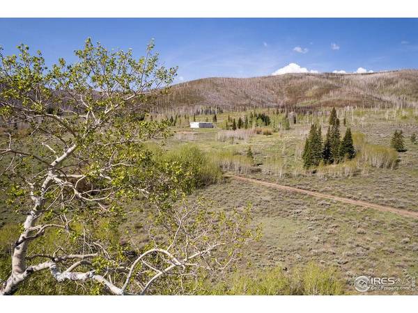 0 Parsons Draw Road, Walden, CO 80480