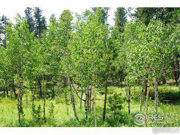 246 Tahosa Park South, Allenspark, CO 80510
