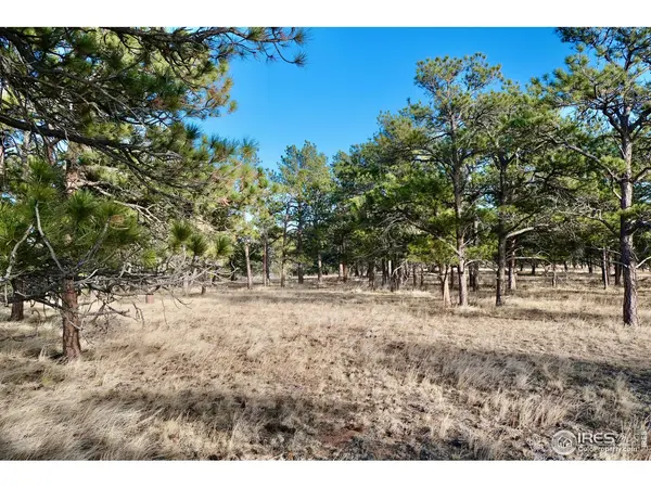 0 Walno, Livermore, CO 80536