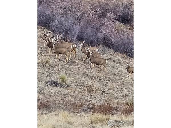 0 Beverly, Berthoud, CO 80513