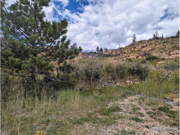1737 Eiger, Livermore, CO 80536