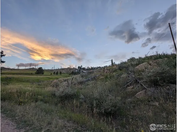 1737 Eiger, Livermore, CO 80536
