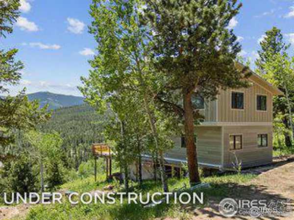 494 N Skinner, Allenspark, CO 80510
