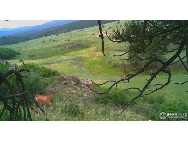 0 Cap Rock #4, Canon City, CO 81212