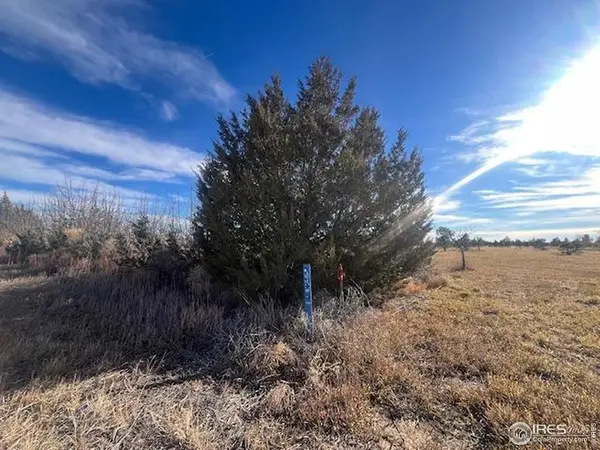 4880 County Rd H, Wiggins, CO 80654