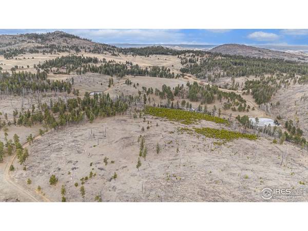 0 Tip Top, Bellvue, CO 80512