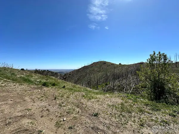 100 Canyon Gulch, Bellvue, CO 80512