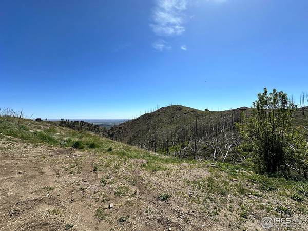 100 Canyon Gulch, Bellvue, CO 80512